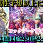 【ロマサガrs】螺旋回廊250階2ターン ロックブーケ優秀超絶火力