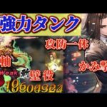 【ロマサガRS】攻防一体これが加藤忍のリアル!高難易度運用を考察★新軸タンク爆誕【ロマンシングサガリユニバース】
